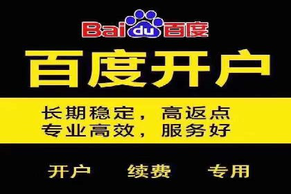 百度广告推广案例费用分析报告